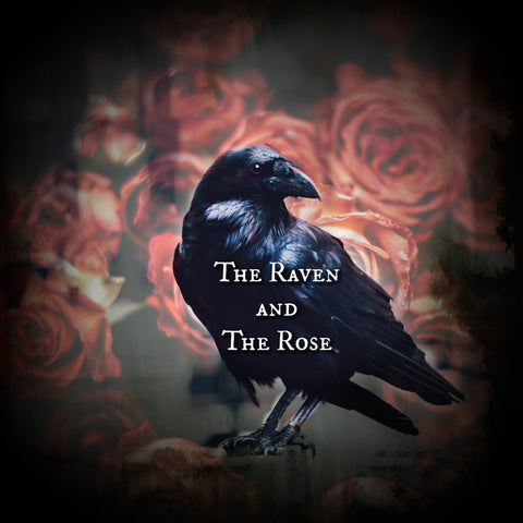 The Raven and the Rose Perfume
