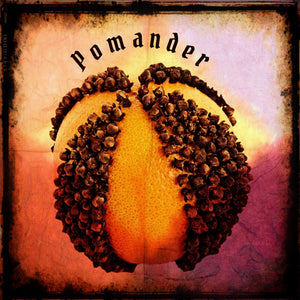 Pomander, a Holiday Spice and Clove Eau de Parfum