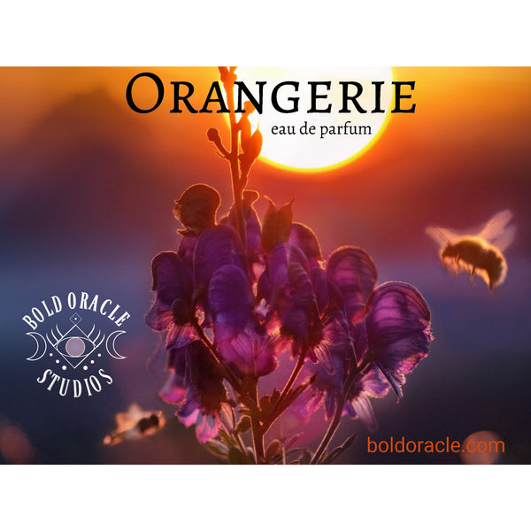 Orangerie, an Orange and Ylang Ylang Eau de Parfum
